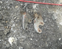 9216 кронштейн торм камеры левый 1349651 правый 1349652 Scania 3 скания