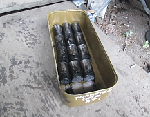 21779 стаканчик толкатель 0306010 DAF95ATI WS268L