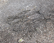 24590  Проводка MAN TGA ман тга