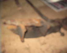 25638 кронштейн торсиона  подвески кабины правый вольво F16 1611038