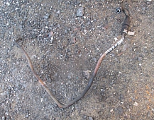 27299  Трубка гура 01931059006 MAN F2000 TGA D2866LF28