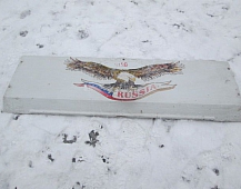 29126  24713 29321 Капот 5000937387 Рено Магнум