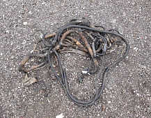 29258  Проводка двигателя 5010428579  Рено магнум 440 2001