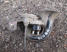 29513  Сигнал воздушный 5010306807 Рено Магнум 440