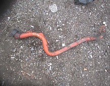 31028 Маслозаливная горловина Scania P94 DSC912 1423338