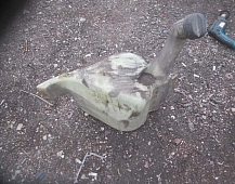 31033 Бачок омывателя Scania P94 DSC912 -1399463 1722694