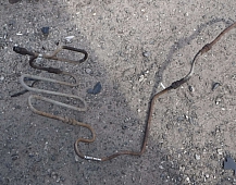 33517 Змеевик компрессора 7C462917AC T186487 FORD CARGO 1838N 2011