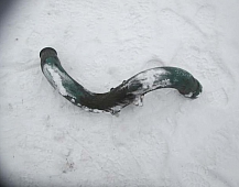 30471 Патрубок интеркулера 1661275 Volvo F16 TD163